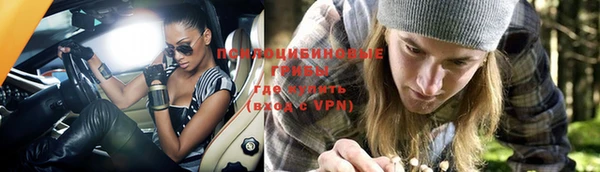 шишки Остров